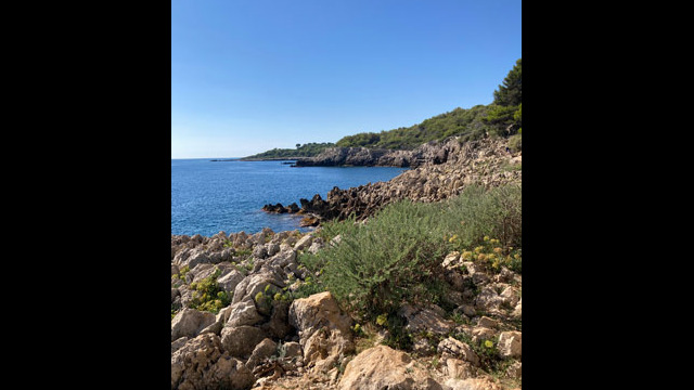 Sentier des douaniers appelé aussi sentiers du littoral ou sentier de Tirepoil au Cap d'Antibes