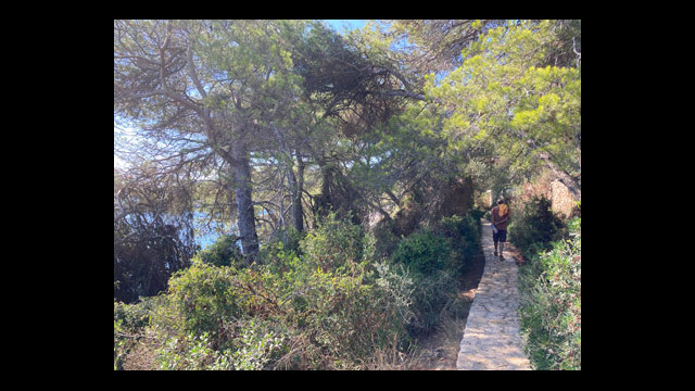Sentier des douaniers appelé aussi sentiers du littoral ou sentier de Tirepoil au Cap d'Antibes