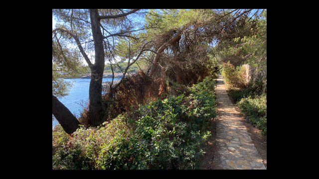 Sentier des douaniers appelé aussi sentiers du littoral ou sentier de Tirepoil au Cap d'Antibes
