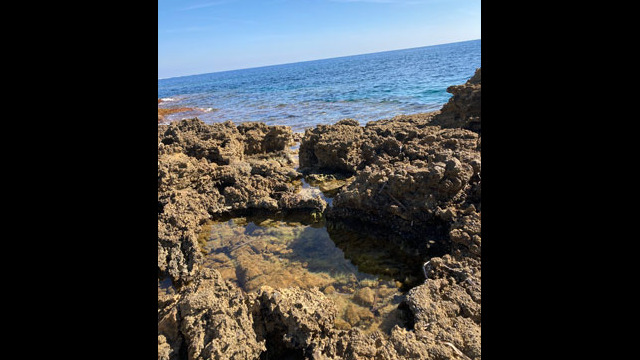Sentier des douaniers appelé aussi sentiers du littoral ou sentier de Tirepoil au Cap d'Antibes