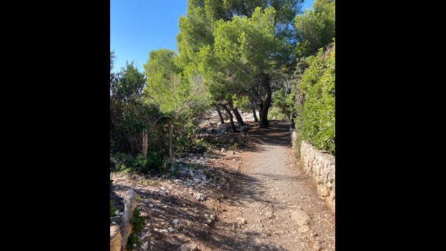Sentier des douaniers appelé aussi sentiers du littoral ou sentier de Tirepoil au Cap d'Antibes