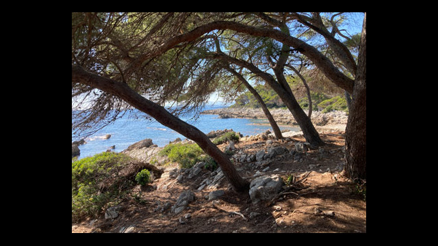 Sentier des douaniers appelé aussi sentiers du littoral ou sentier de Tirepoil au Cap d'Antibes