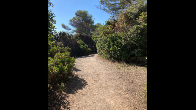 sentier de Tirepoil au Cap d'Antibes