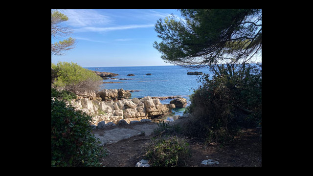 Sentier des douaniers appelé aussi sentiers du littoral ou sentier de Tirepoil au Cap d'AntibesSentier des douaniers appelé aussi sentiers du littoral ou sentier de Tirepoil au Cap d'AntibesSentier des douaniers appelé aussi sentiers du littoral ou sentier de Tirepoil au Cap d'AntibesSentier des douaniers appelé aussi sentiers du littoral ou sentier de Tirepoil au Cap d'AntibesSentier des douaniers appelé aussi sentiers du littoral ou sentier de Tirepoil au Cap d'AntibesSentier des douaniers appelé aussi sentiers du littoral ou sentier de Tirepoil au Cap d'AntibesSentier des douaniers appelé aussi sentiers du littoral ou sentier de Tirepoil au Cap d'AntibesSentier des douaniers appelé aussi sentiers du littoral ou sentier de Tirepoil au Cap d'AntibesSentier des douaniers appelé aussi sentiers du littoral ou sentier de Tirepoil au Cap d'AntibesSentier des douaniers appelé aussi sentiers du littoral ou sentier de Tirepoil au Cap d'AntibesSentier des douaniers appelé aussi sentiers du littoral ou sentier de Tirepoil au Cap d'AntibesSentier des douaniers appelé aussi sentiers du littoral ou sentier de Tirepoil au Cap d'AntibesSentier des douaniers appelé aussi sentiers du littoral ou sentier de Tirepoil au Cap d'AntibesSentier des douaniers appelé aussi sentiers du littoral ou sentier de Tirepoil au Cap d'AntibesSentier des douaniers appelé aussi sentiers du littoral ou sentier de Tirepoil au Cap d'AntibesSentier des douaniers appelé aussi sentiers du littoral ou sentier de Tirepoil au Cap d'AntibesSentier des douaniers appelé aussi sentiers du littoral ou sentier de Tirepoil au Cap d'AntibesSentier des douaniers appelé aussi sentiers du littoral ou sentier de Tirepoil au Cap d'AntibesSentier des douaniers appelé aussi sentiers du littoral ou sentier de Tirepoil au Cap d'Antibes